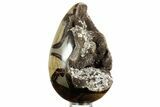 Septarian Dragon Egg Geode - Sparkly Black Crystals #378951-1